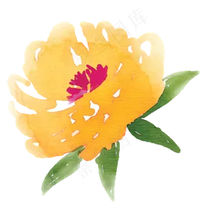 一朵绿叶黄花免抠图
