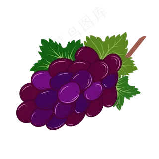 中秋节水果葡萄矢量图