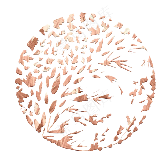玫瑰金抽象植物雅致圆形边框,免抠元素(2500*2500px 300 dpi )psd模版下载