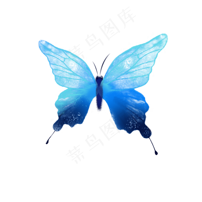 水彩梦幻蓝色蝴蝶(3000*3000px 300 dpi )psd模版下载