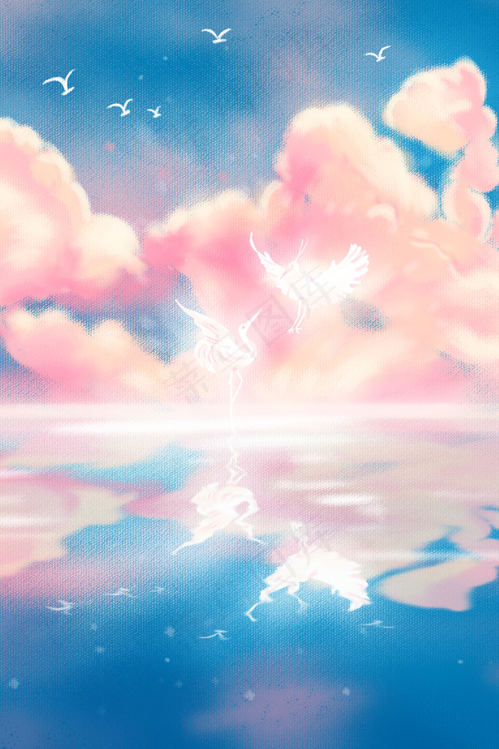 唯美治愈天空飞鸟