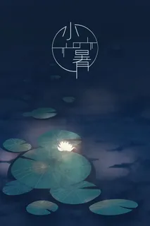 夏季小暑节气黑暗中的荷花