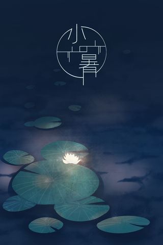 夏季小暑节气黑暗中的荷花