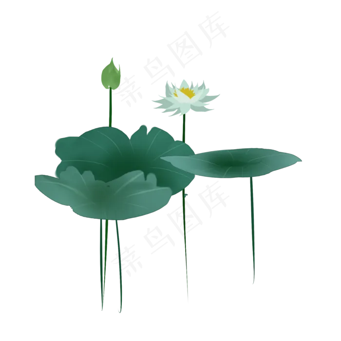 盛开的白色荷花水墨插图(2000X2000(DPI:300))psd模版下载