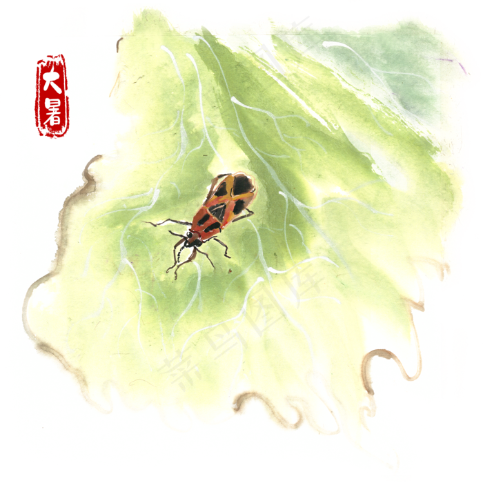 大暑树叶上的昆虫(4724X4724(DPI:300))psd模版下载