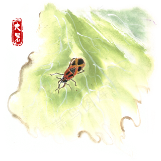 大暑树叶上的昆虫