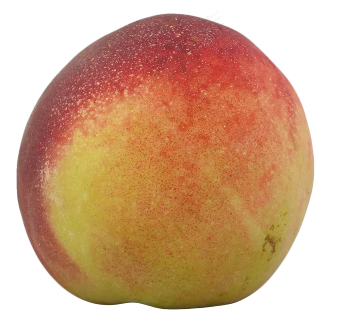 新鲜水果桃子(2500X2500(DPI:300))