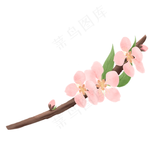 手绘水彩一枝桃花,免抠元素