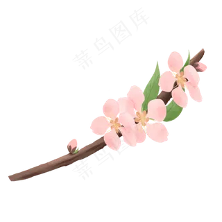 手绘水彩一枝桃花,免抠元素
