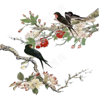 工笔花鸟,免抠元素 工笔花鸟,免抠元素