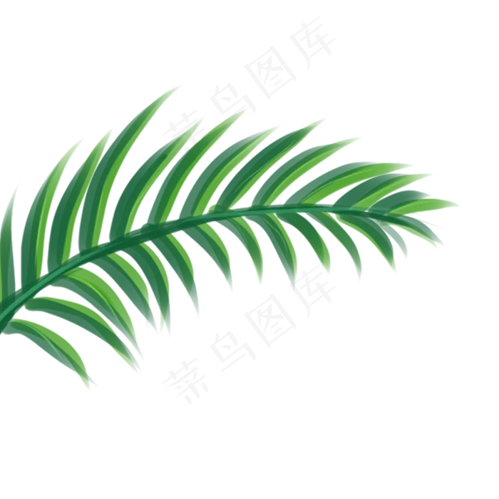 棕榈叶植物树叶,免抠元素(1000*1000px 300 dpi )psd模版下载