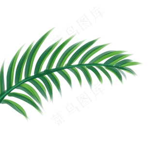 棕榈叶植物树叶,免抠元素