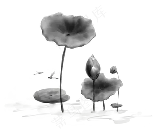水墨风荷花清明节装饰素材