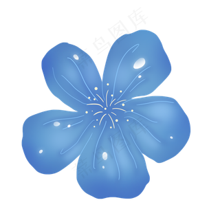 蓝色治愈浪漫小花