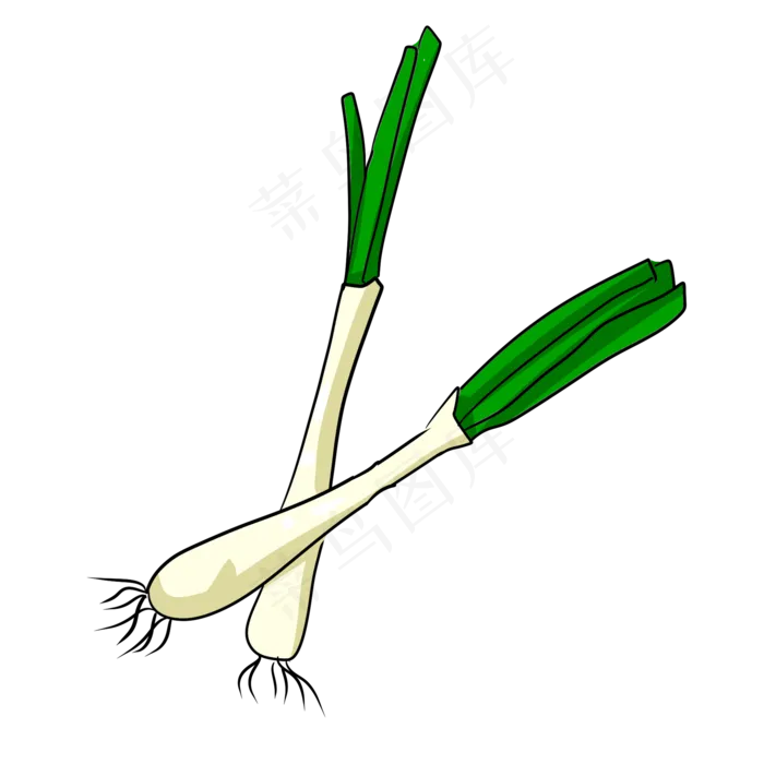 彩色手绘大葱食物