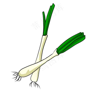 彩色手绘大葱食物