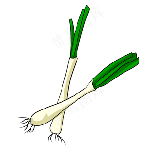 彩色手绘大葱食物