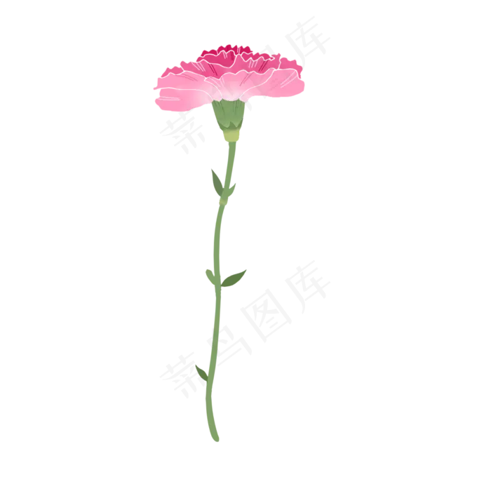 单只康乃馨粉紫色(2000X2000(DPI:300))psd模版下载