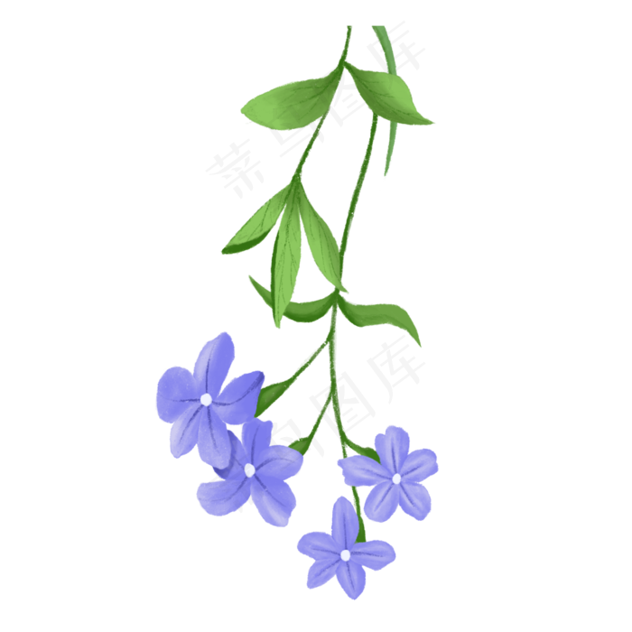 绿色植物美丽的花藤