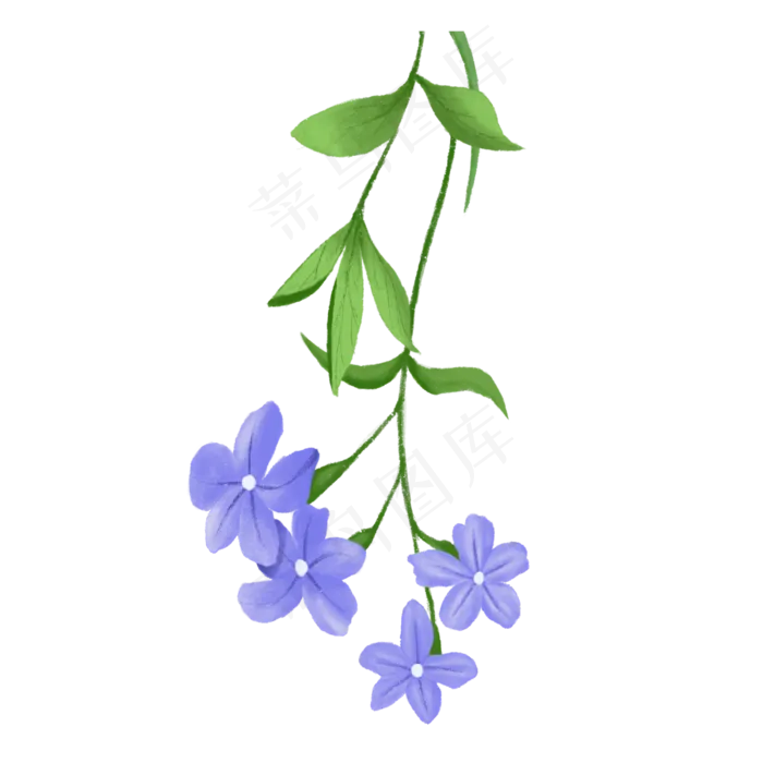 绿色植物美丽的花藤