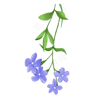 绿色植物美丽的花藤