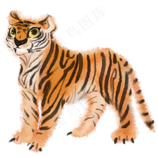水彩动物手绘老虎元素