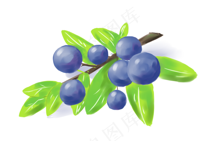 手绘瓜果装饰素材