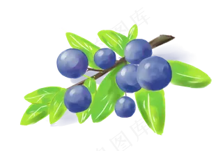 手绘瓜果装饰素材