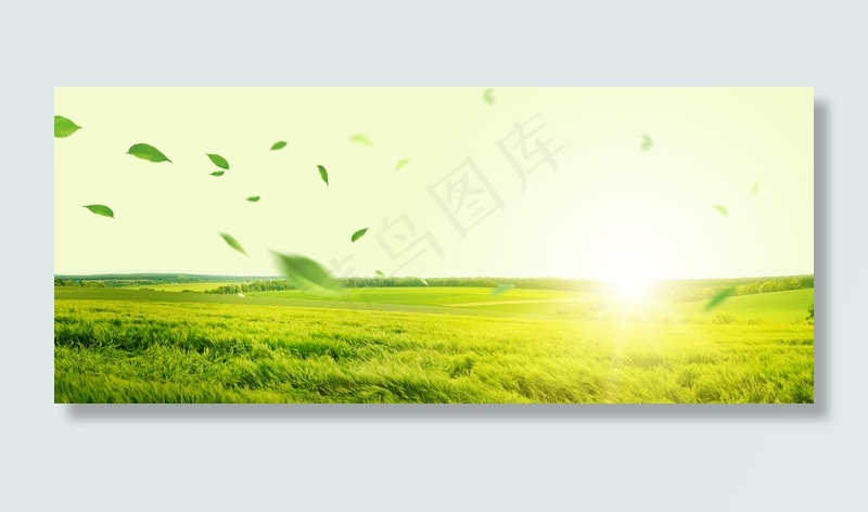 绿色春天背景素材