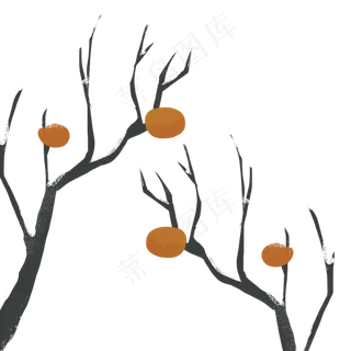 初冬霜雪黄色果实柿子