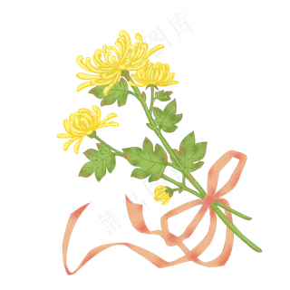 菊花秋天重阳节PNG,免抠元素