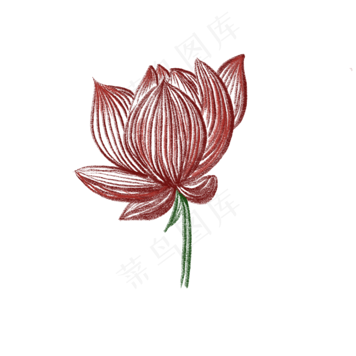 荷花夏天植物免抠创意插图