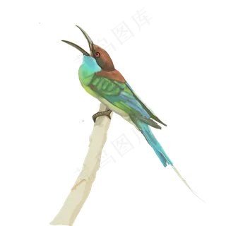 小鸟喜鹊树枝中国风古风