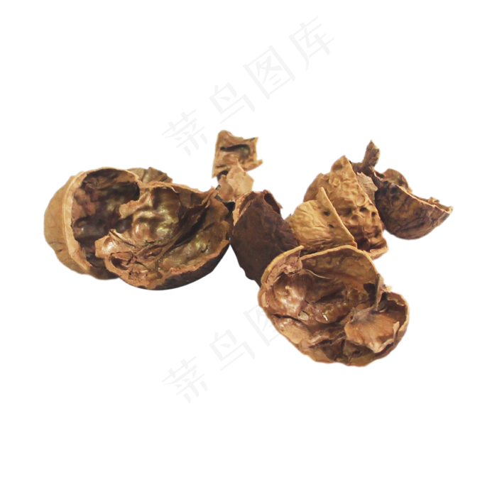 核桃皮中药,免抠元素