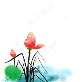 中国风水墨花卉荷花