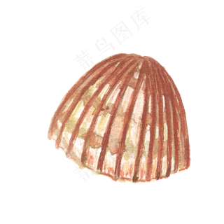 卡通手绘水彩夏日海边贝壳