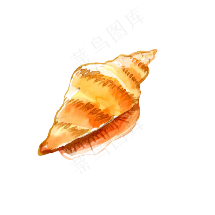 水彩沙滩海螺插画
