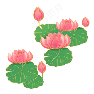 中国风荷花荷叶