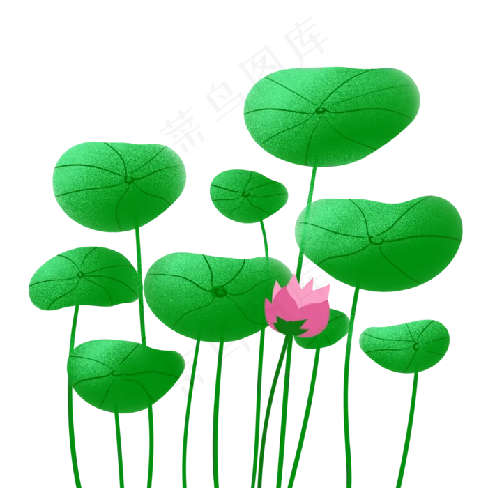 荷花荷叶(2000X2000(DPI:299))psd模版下载