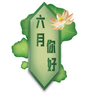 六月你好荷花荷叶装饰