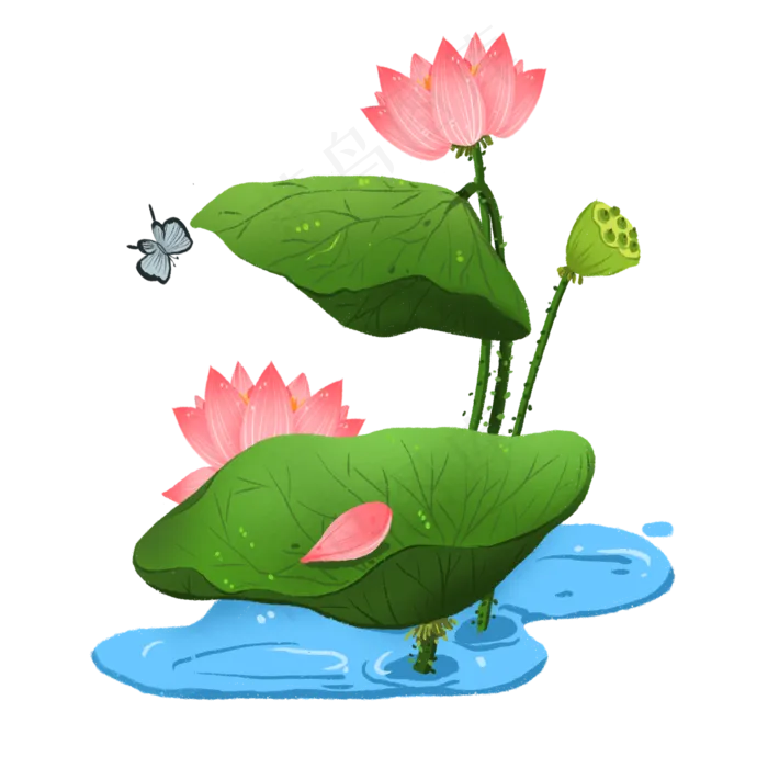 盛开的荷花和蝴蝶免抠元素(2000X2000(DPI:300))psd模版下载