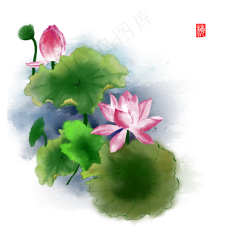 古风荷花荷叶莲蓬