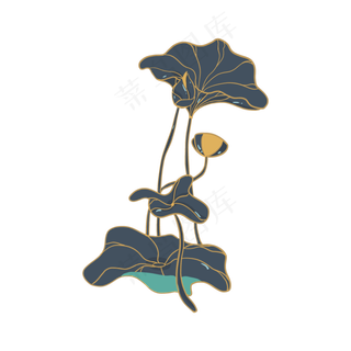 小暑大暑清凉荷花荷叶莲花