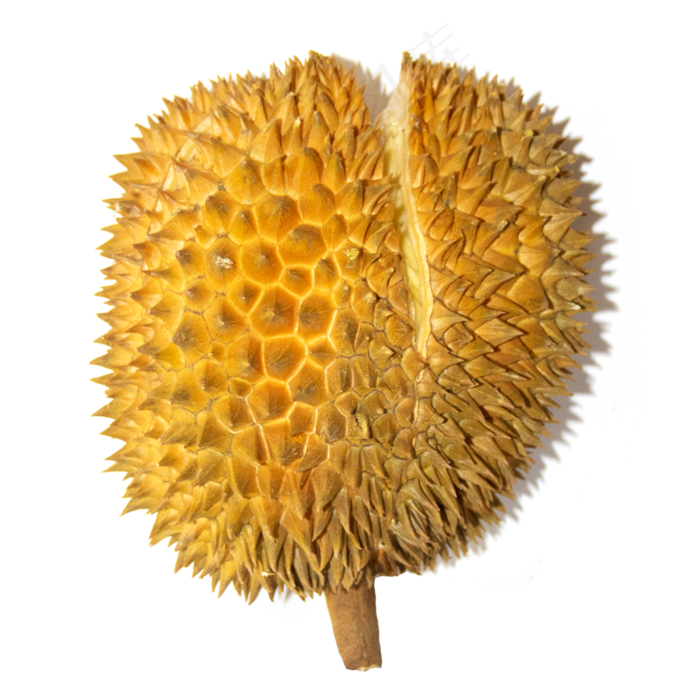 夏季水果榴莲(2000X2000(DPI:300))