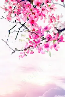 唯美春天醉美樱花节春季旅游 唯美春天醉美樱花节春季旅游