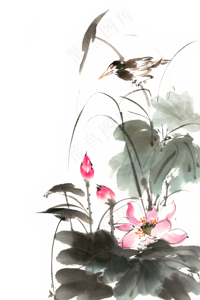 荷花与小鸟(4724X7087(DPI:300))psd模版下载