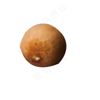 新鲜的龙眼免抠图