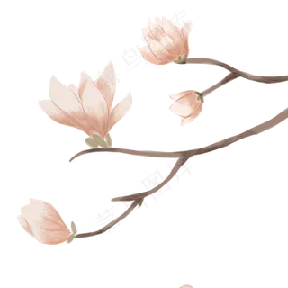 米色盛开的卡通百合花