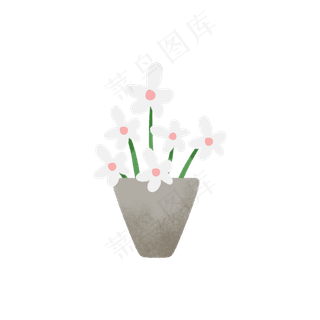 大暑一盆白色的花朵