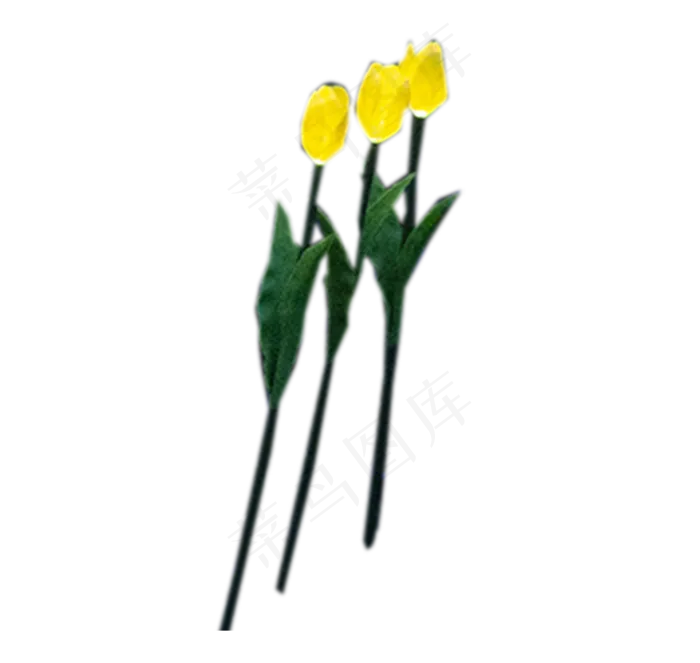 美丽的鲜花